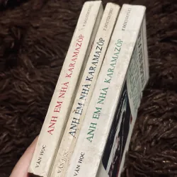 Combo Dos: Anh em Karamazov + Đêm Trắng (bao cấp) 1024184