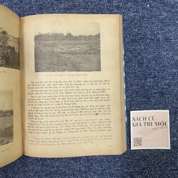 Di chỉ khảo cổ học Phùng Nguyên  715028