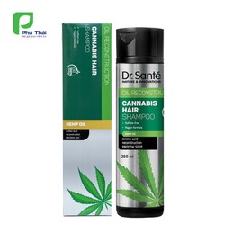 [CHĂM SÓC TÓC CHUYÊN SÂU – PHỤC HỒI HƯ TỔN] Dầu gội Cannabis Hair 74959