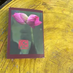 COMBO NHẬN THỨC PHẬT GIÁO HOÀ HẢO & SẤM GIẢNG THI VĂN GIÁO LÝ TOÀN BỘ 777915