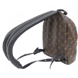Ba lô Louis Vuitton Monogram Palm Springs PM M44871 611271