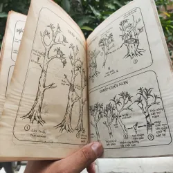 Kỹ Thuật Trồng Và Ghép Mai - Huỳnh Văn Thới 928913