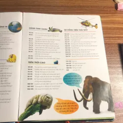 Tại sao trái đất cần mặt trăng 989804