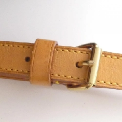 Túi xách vai Louis Vuitton Monogram Randonne PM M42243 - Hàng hiệu Chính hãng 805733