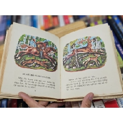 Kiến và chim bồ câu - Lép Tôn-xtôi ( Sách Liên Xô ) 122346