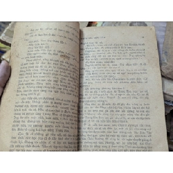 CÁNH HOA RỰC LỬA 132584