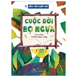 Hành Trình Khám Phá - Cuộc Đời Bọ Ngựa - Hà Triều, Phạm Cường 287551