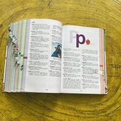 DICTIONNAIRE HACHETTE JUNIOR CE-CM 8-11 ANS 697410