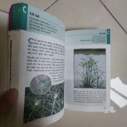 Sách Từ điển tranh về các loài cây 935060