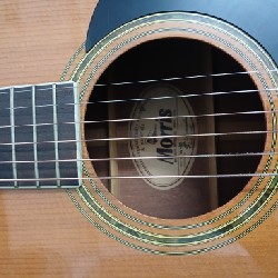 Cần bán Guitar Morris W-30 46099