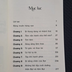 Bụt là hình hài, Bụt là tâm thức - Thích Nhất Hạnh 524253