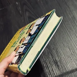 Lá nằm trong lá (bìa cứng, đọc mô tả) 689603