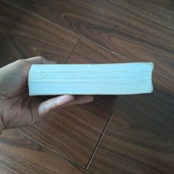 Phù thế phù thành 509912