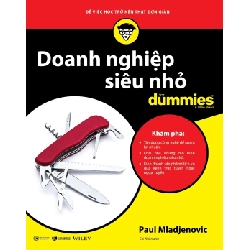 Doanh nghiệp siêu nhỏ for dummies - Paul Mladjenovic 2020 New 100% HCM.PO