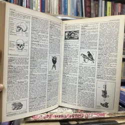 LE PETIT LAROUSSE ILLUSTRÉ 1993- TỪ ĐIỂN MINH HOẠ LAROUSSE NHỎ 1993 596630