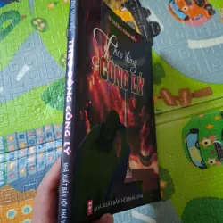 Theo Dòng Công Lý 780676