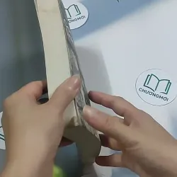 Con rể tỉnh trưởng - Phương Vỹ 695009