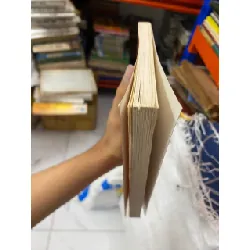 La Dynastie Des Nguyen Les Neuf Seigneurs Les Treize Rois - Thi Long 560632