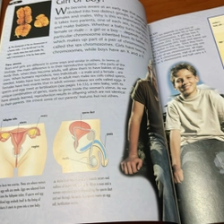 PICTURE BOOK Genes & DNA 536353