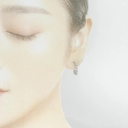 750WG Bông tai kim cương - Hàng hiệu Authentic 876671