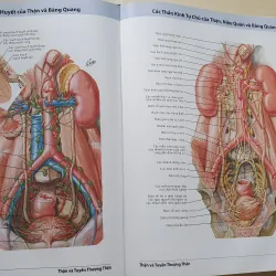 ATLAS 7 GIẢI PHẪU  1008119