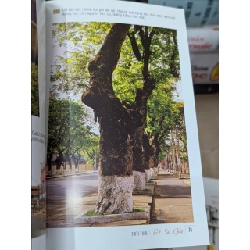 Tết Sài Gòn - Tam Thái 449566