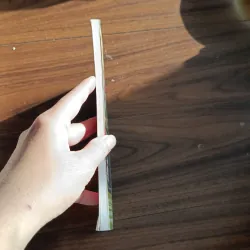 Xe hoa đưa xác - người khăn trắng 760328