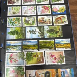 Thanh lý tem 1013551