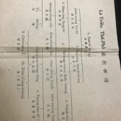 Việt Nam sử lược - Trần Trọng Kim - Lịch sử 796949