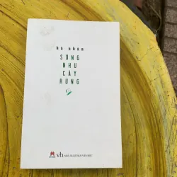 COMBO HÀ NHÂN: ngày trong sương mù, bay xuyên những tầng mây, sống như cây rừng 787948