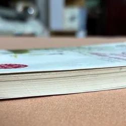 Cô gái đến từ hôm qua 🌊 693462