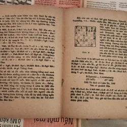 TÀI NĂNG & TRIỂN VỌNG (Tủ sách bạn yêu cờ)

Tác giả: Hoàng Mỹ Sinh & Nguyễn Mạnh Hùng 708761