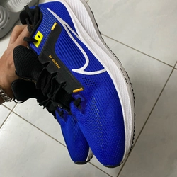 Giày chạy bộ Nike Pegasus 40  384068