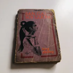 BẠN GÁI SOI GƯƠNG ( Hoàng Lan)