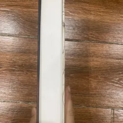 Leonardo Da Vinci - Walter Isaacson (10) 1021867