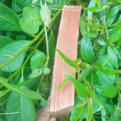 Sổ Tay Thầy Thuốc Thực Hành 1042512
