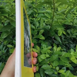 Đặng tộc đại tông phả ( phả chi trưởng họ Đặng )  981584