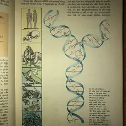 Từ điển bách khoa nhà hoá học trẻ tuổi  731806