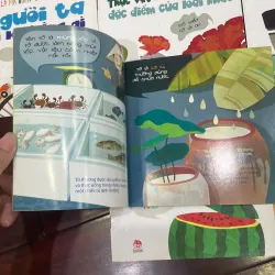 Bộ sách lạ mà quen , quen mà lạ về con vật , đồ vật trái cây phương tiện xung quanh bé  1047536