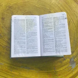 TỪ ĐIỂN VIỆT - PHÁP - LÊ KHẢ KẾ- NGUYỄN LÂN 575407