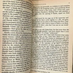 A Raisin in the Sun - Lorraine Hansberry 735422