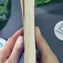 Những người thích khóc (2001) - Aziz Nesin 604588