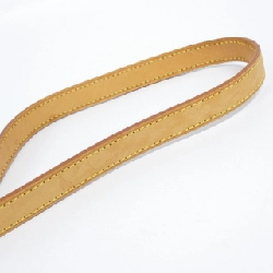 Túi xách vai Louis Vuitton Monogram Salony M42250 - Hàng hiệu Authentic 768369