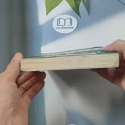 Vượt biển lớn: Cách đi lên của người khởi nghiệp từ 5 xu - Nguyễn Thái Duy 688542