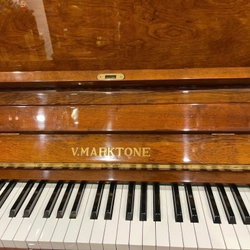 Piano V.Marktone màu như hình đang sử dụng 323800