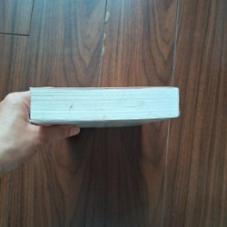 Tình đầu hay tình cuối 503403