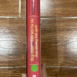 Roi thần Gót sen ba tấc Âm dương bát quái - Phùng Ký Tài (8) 713216