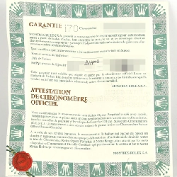 Đồng hồ Rolex Datejust 79174 SSxWG tự động P số - Hàng hiệu chính hãng 876196