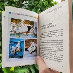 Nghệ Thuật Nuôi Chim Hót - Chim Kiểng 532116