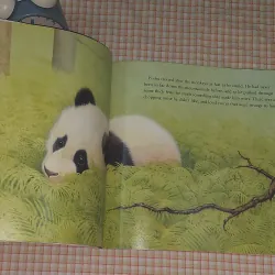 🐼 PI - SHU 🎋 THE LITTLE PANDA - ✍️🏻 JOHN BUTLER 713395